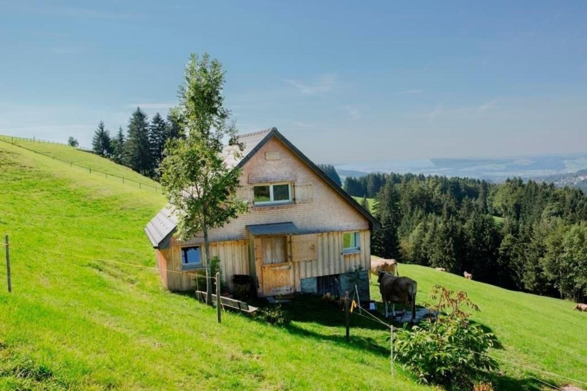 Bauernhof Fendrig - Neue Wohnung Haslen Dış mekan fotoğraf