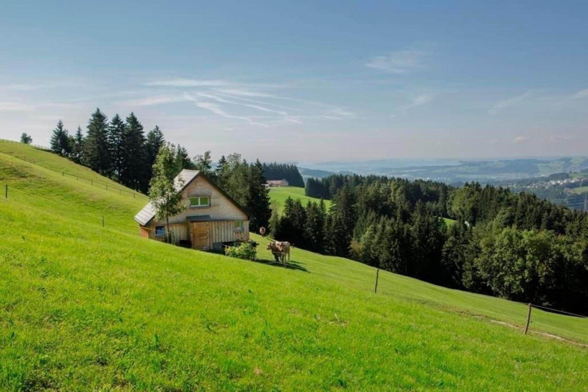 Bauernhof Fendrig - Neue Wohnung Haslen Dış mekan fotoğraf