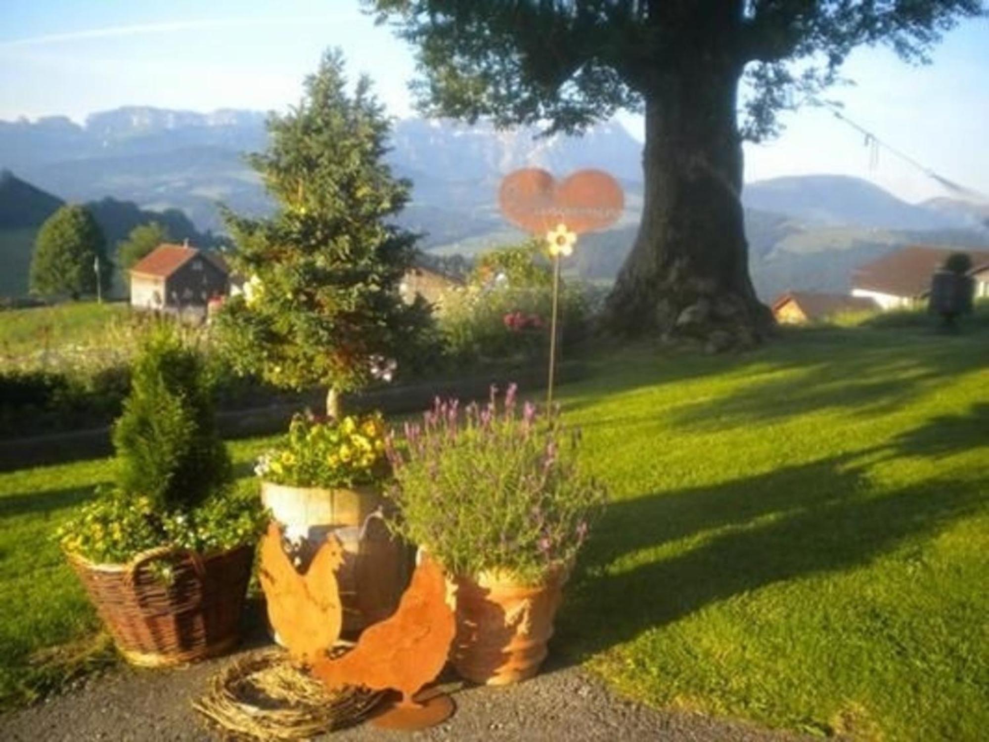 Bauernhof Fendrig - Neue Wohnung Haslen Dış mekan fotoğraf